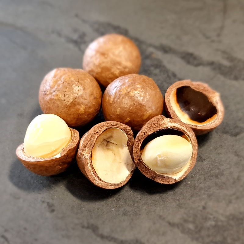 #Macadamia Nuts In Shell NCMA135