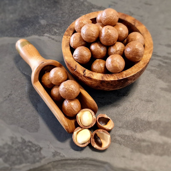 #Macadamia Nuts In Shell NCMA135