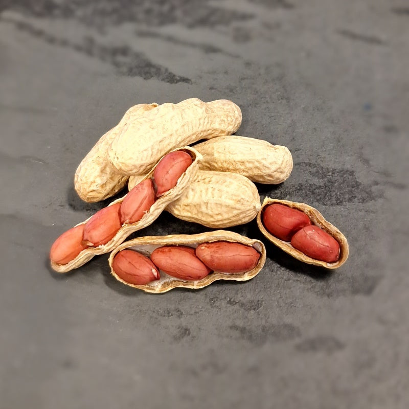 Monkey Shell Peanuts Buy Peanuts In Shell | Monkey Nuts | 500g and 1kg bags | HBS Natural Choice