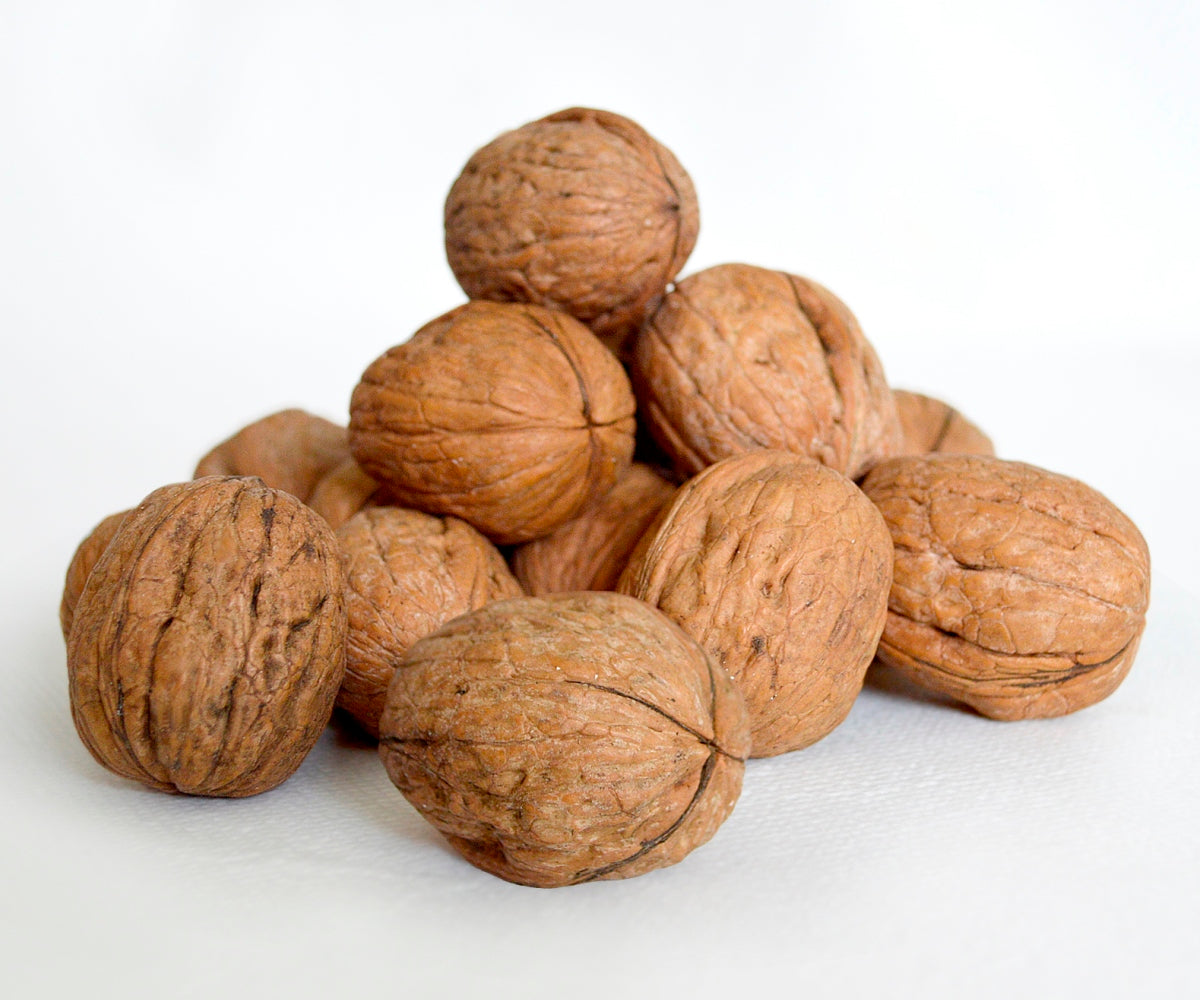 Un Shell Walnuts Buy Walnuts In Shell | Shell on Walnuts | 1kg and 500g Bags – HBS ...