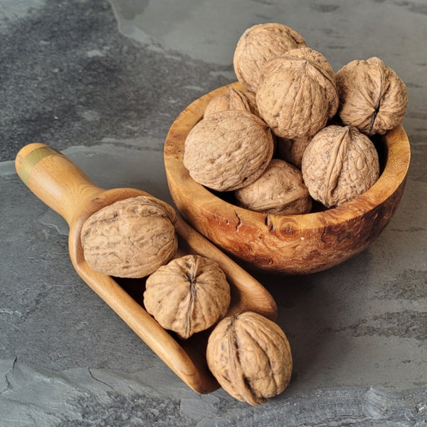 Buy Walnuts In Shell | Shell on Walnuts | 1kg and 500g Bags - HBS ...